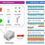 دستگاه PCR و HLCR چیست