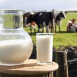 پاورپوینت عوامل موثر بر کیفیت شیر