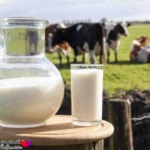 پاورپوینت عوامل موثر بر کیفیت شیر