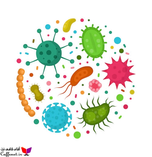 میکروارگانیزم های پروبیوتیک